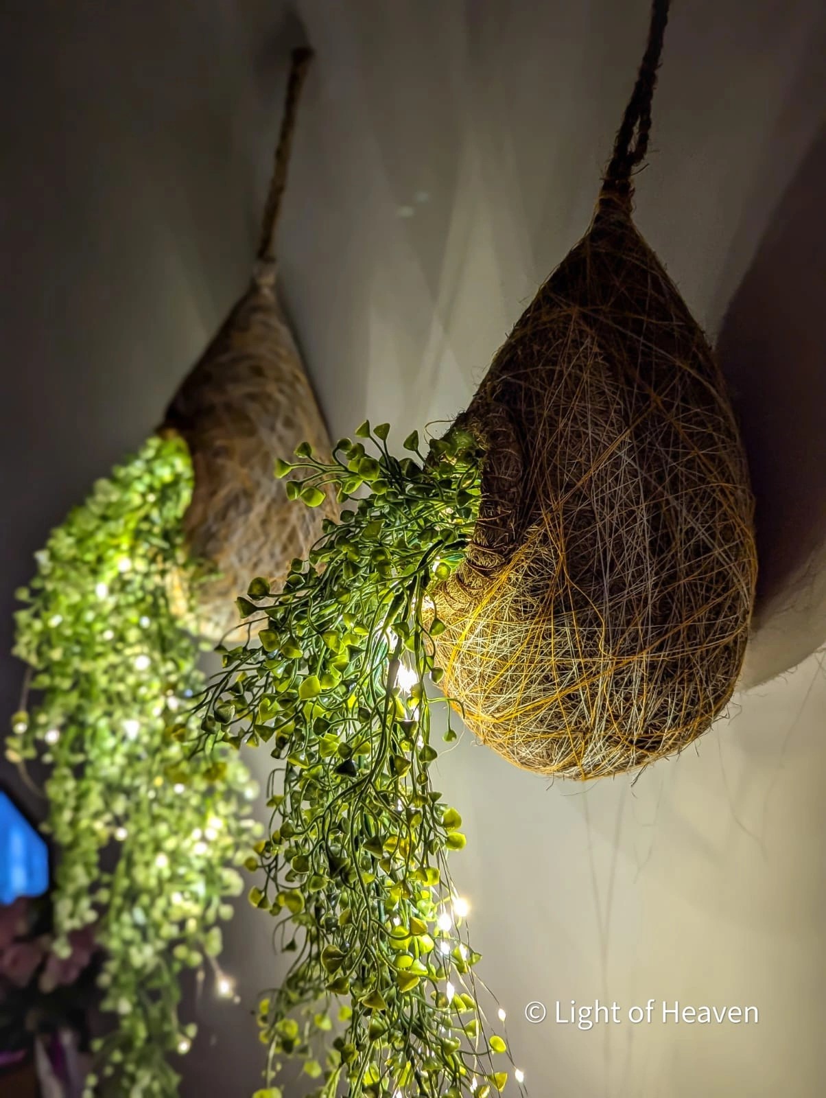 Bird Nest with Fruit Jhar MFJ05